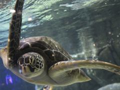 -成都浩海立方海洋公园