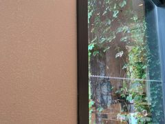 -星巴克(古美路店)