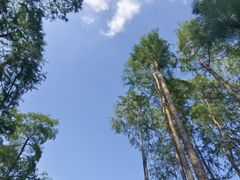 -东湖落雁景区