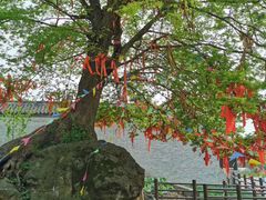 -石塘人家