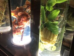 -广东中医药博物馆