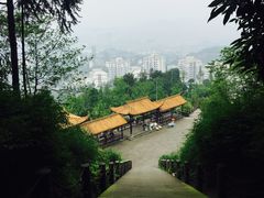 -铁山坪森林公园