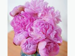 -双季花艺园艺市场(浦东店)