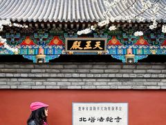 -护国法轮寺