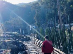 -MOJ coffee(瓯海泽雅水碓坑店)