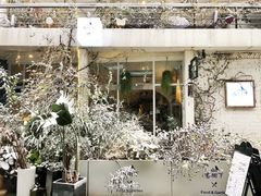 -春树下·树屋花房西餐厅(罍街AS1980店)