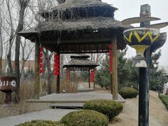 -太阳部落