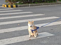 -新天世纪中餐厅