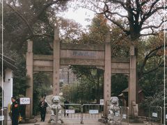 -镇江市南山风景名胜区竹林景区