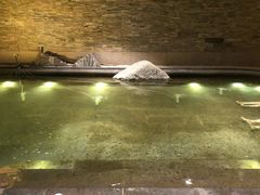 -溧阳天目湖天沐温泉