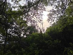 -敬亭山风景名胜区