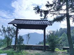 -长沙黑麋峰国家森林公园