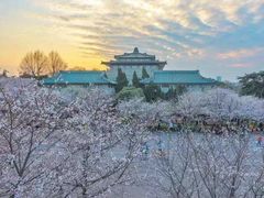 -武汉大学-樱园
