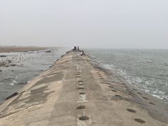 -东疆建设开发纪念公园