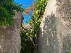 -景山公园