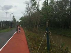 -上海长兴岛郊野公园