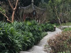-乌山风景区