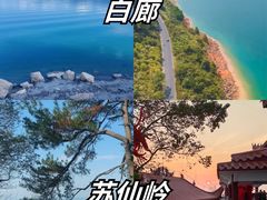 -仰天湖大草原