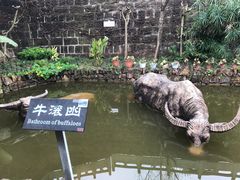 -燊海井