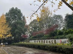 -重庆彩云湖湿地公园
