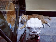 -情忆草原涮肉馆