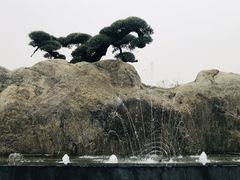 -南通洲际绿博园