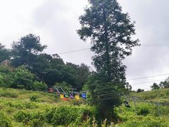-龙岩森林水乡景区