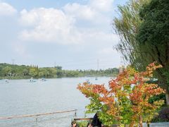 -昆山城市生态森林公园