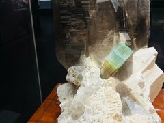 -湖南省地质博物馆