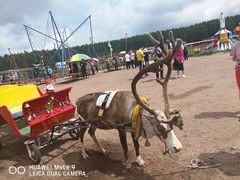 -塞罕坝国家级自然保护区