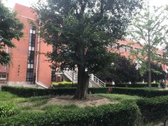 -清华大学-观畴园餐厅