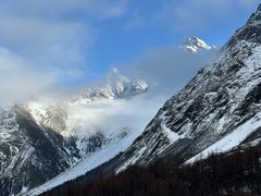 -金鼎雪山牦牛杂火锅(理县总店)