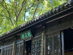 -上海醉白池公园