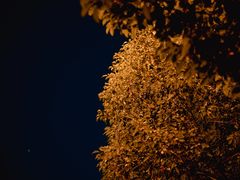 -美兰湖景区