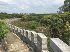 -松山湖南湖湾露营营地