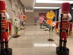 -极斗-IKMF马伽术·格斗运动学院(东直门店)