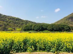 -八卦田遗址公园
