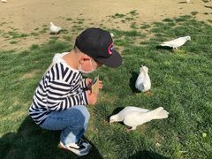 -南通洲际绿博园