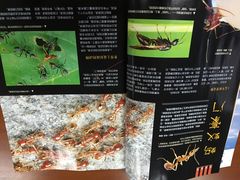 -海曙区图书馆