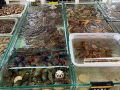 -南戴河海滨市场