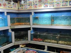 -东江海鲜大排档·潮汕菜·砂锅粥