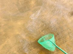 -东戴河风景区-止锚湾