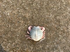 -嵊泗基湖沙滩