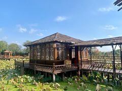 -军山湖云水间水上餐厅(进贤店)
