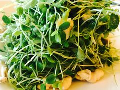 桃仁香椿苗-烤肉宛饭庄(北新桥店)