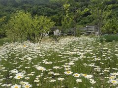-南北湖风景区