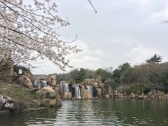 -白马涧龙池景区