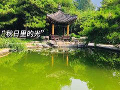 -国家植物园南园