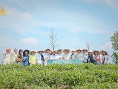 -汉艺唐风茶艺培训(联发华美空间店)