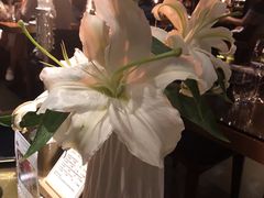 -AZUL by FUEL蓝色·法式酒馆(琶醍店)